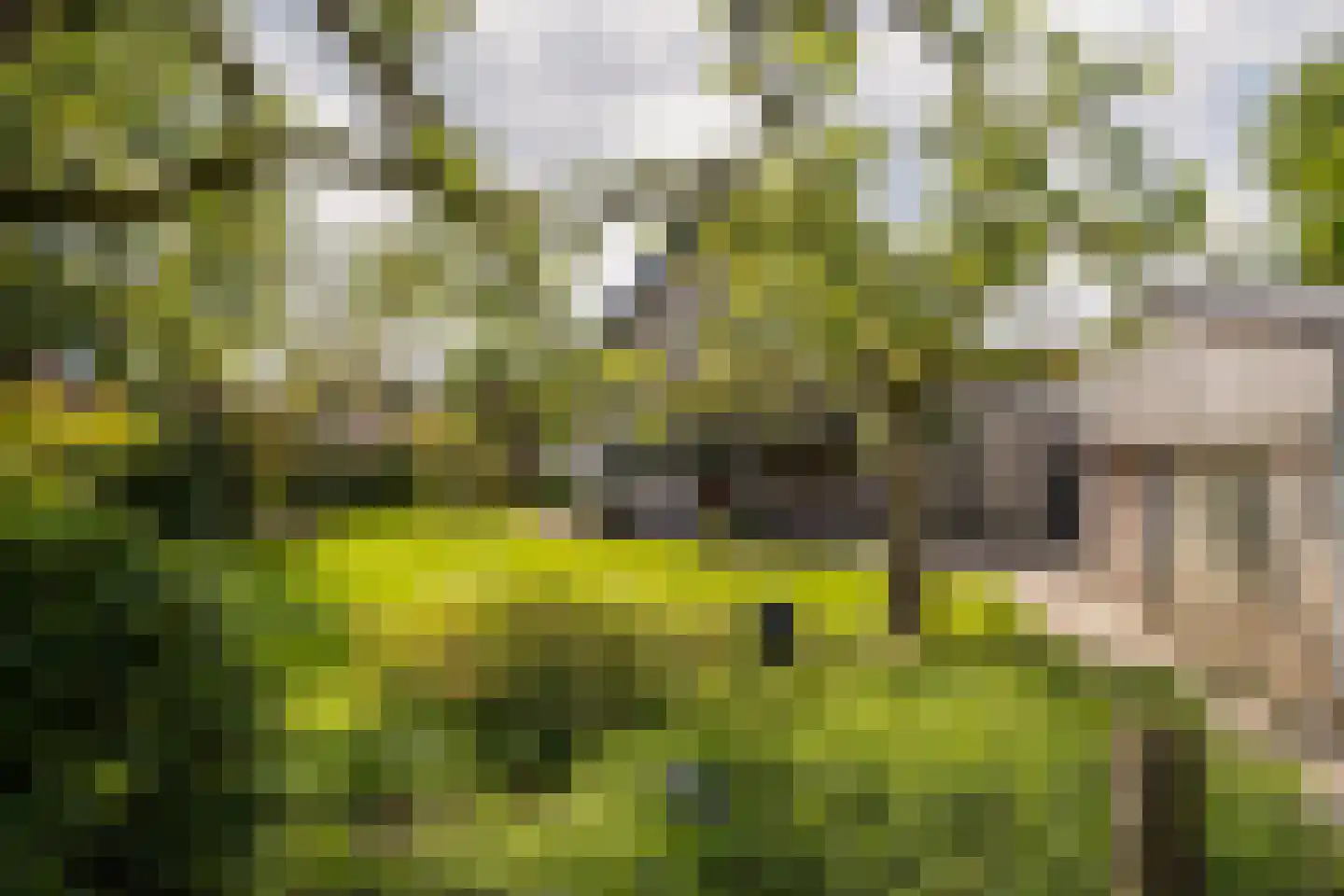 het Boerrigter 17 Losser thumbnail 41