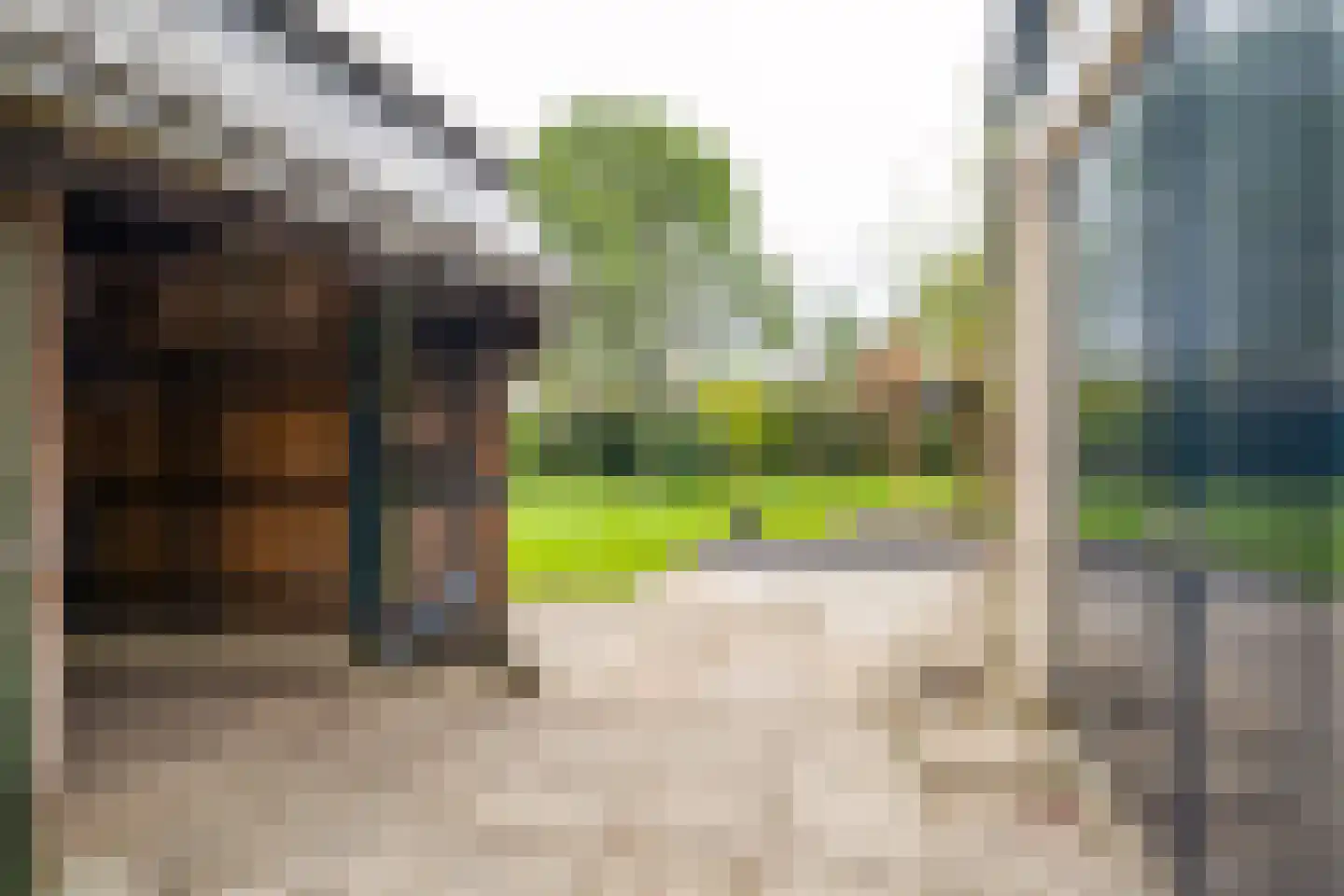 het Boerrigter 17 Losser thumbnail 43