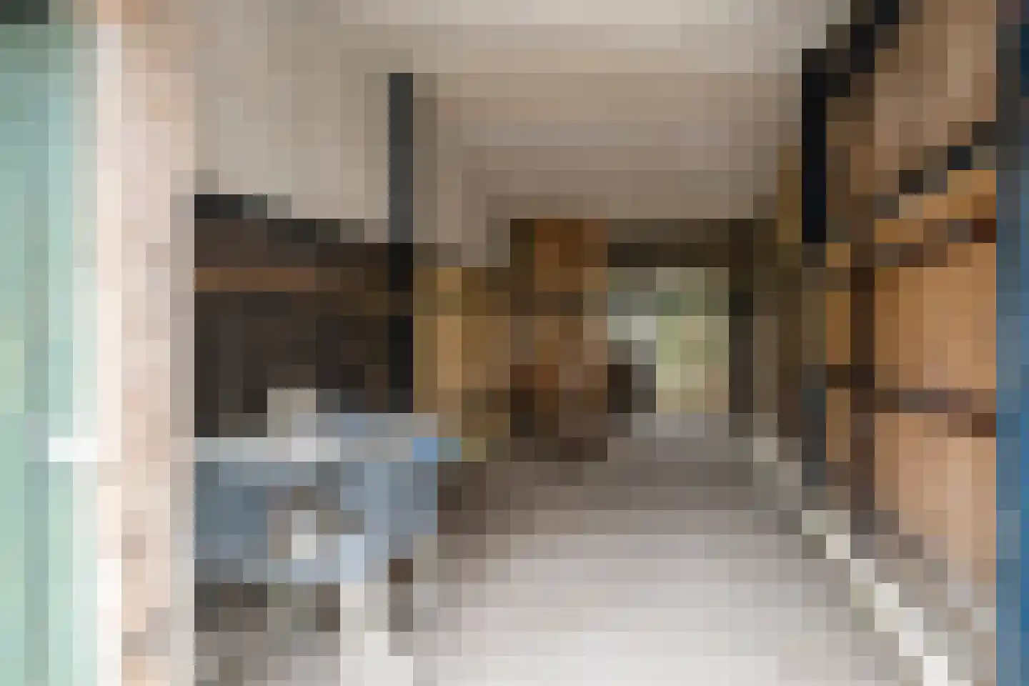 het Boerrigter 17 Losser thumbnail 44