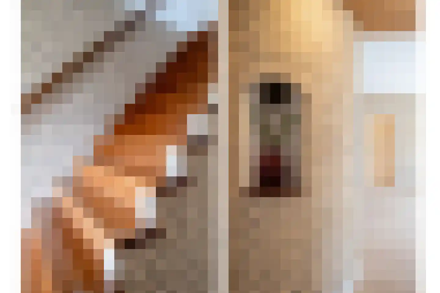 het Boerrigter 17 Losser thumbnail 8