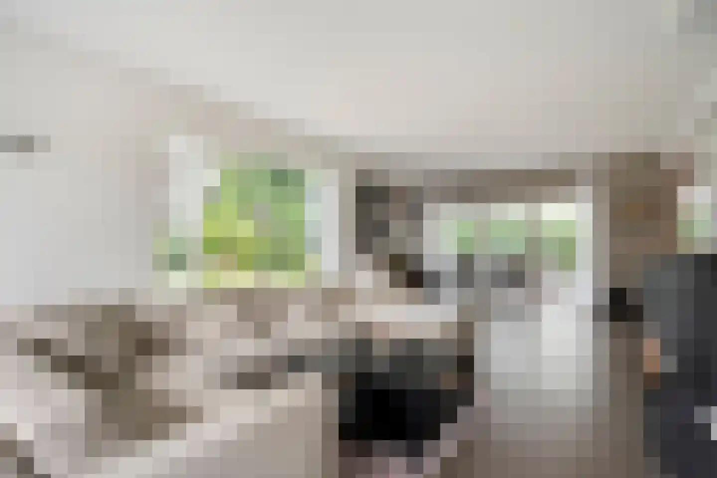 het Boerrigter 31 Losser thumbnail 10