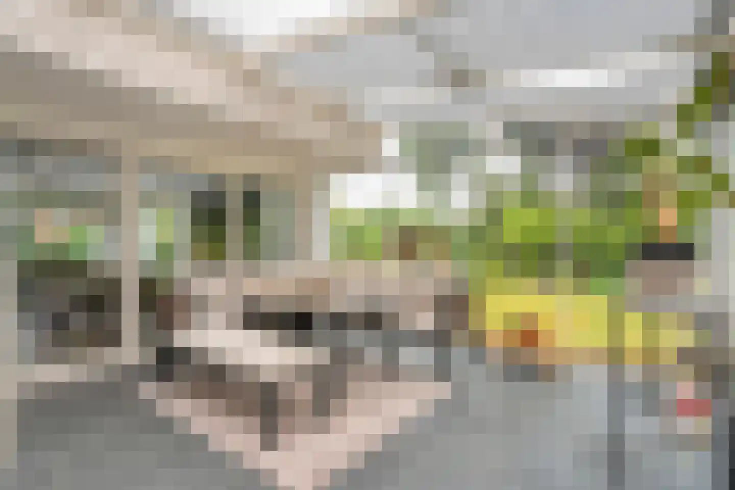 het Boerrigter 31 Losser thumbnail 11