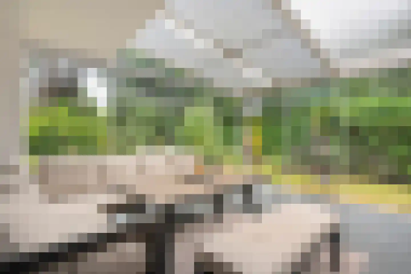 het Boerrigter 31 Losser thumbnail 12