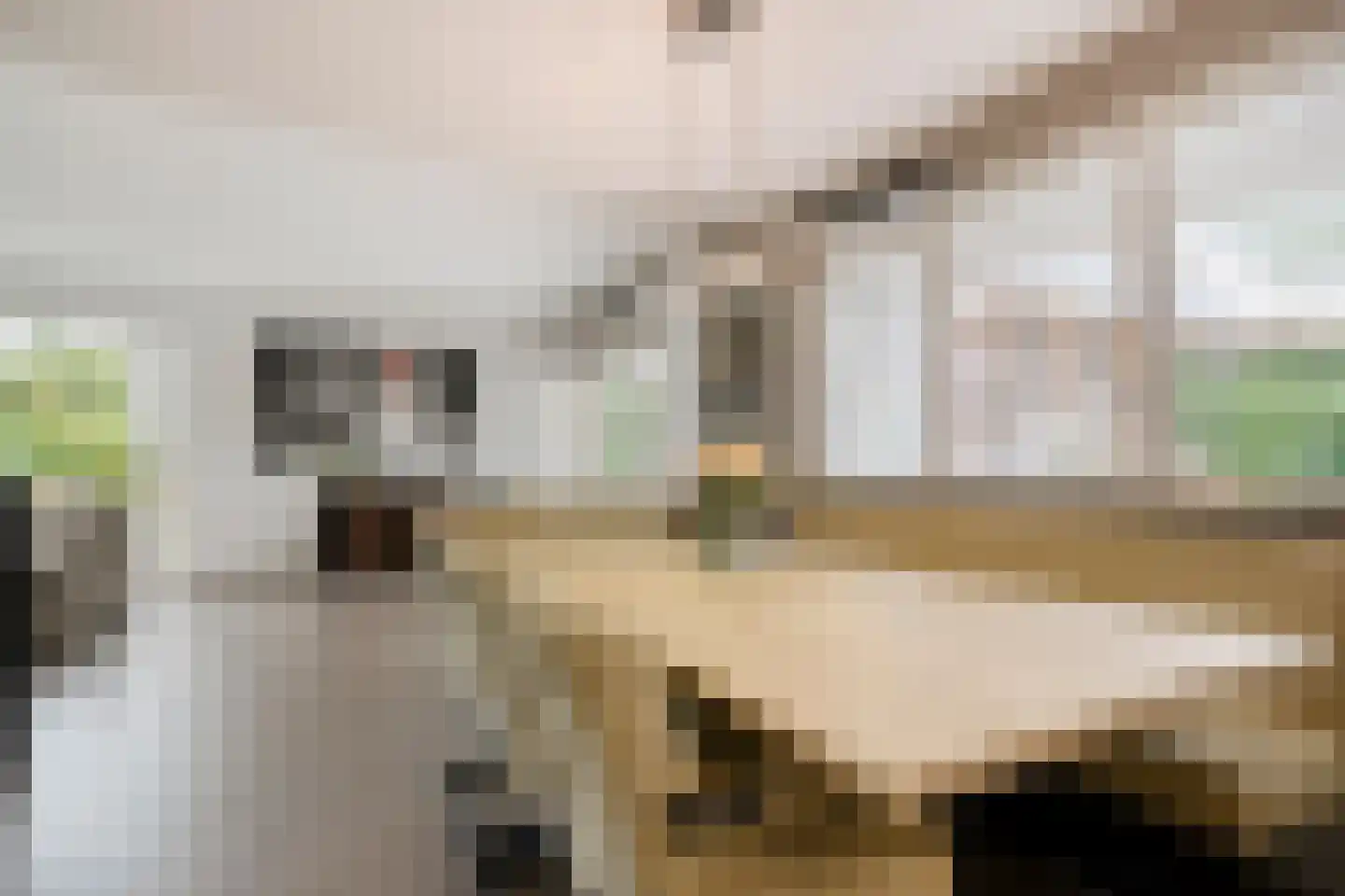 het Boerrigter 31 Losser thumbnail 13