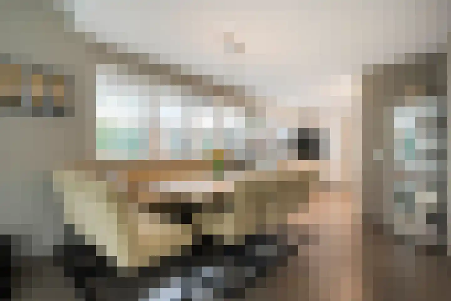 het Boerrigter 31 Losser thumbnail 14