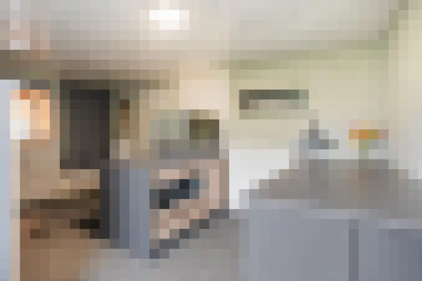 het Boerrigter 31 Losser thumbnail 17