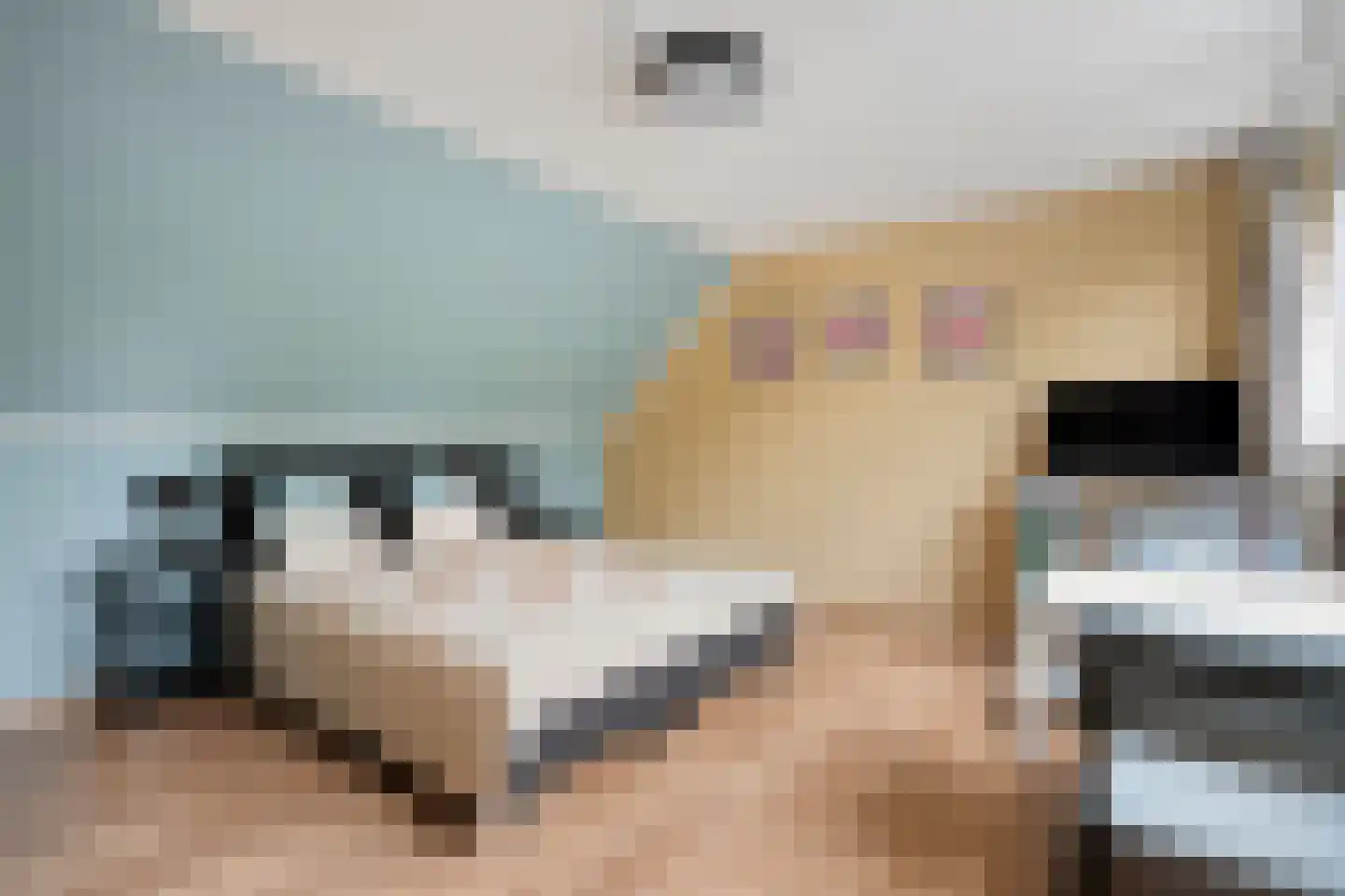 het Boerrigter 31 Losser thumbnail 20