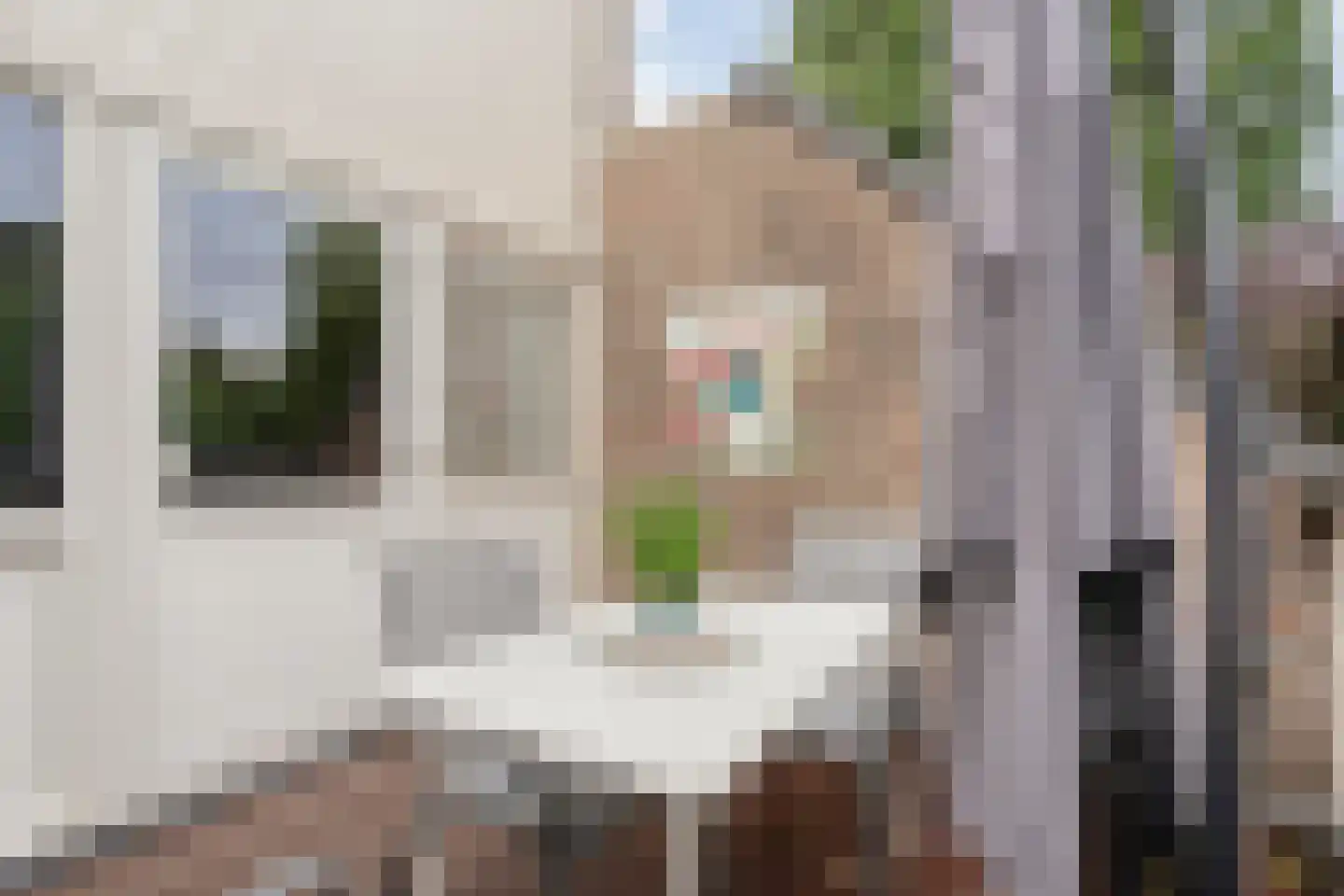 het Boerrigter 31 Losser thumbnail 21