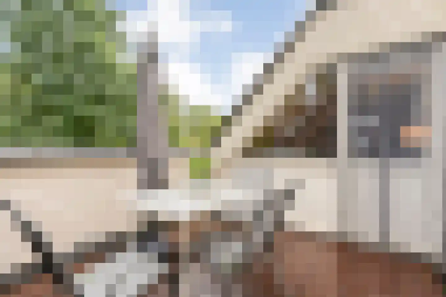 het Boerrigter 31 Losser thumbnail 24