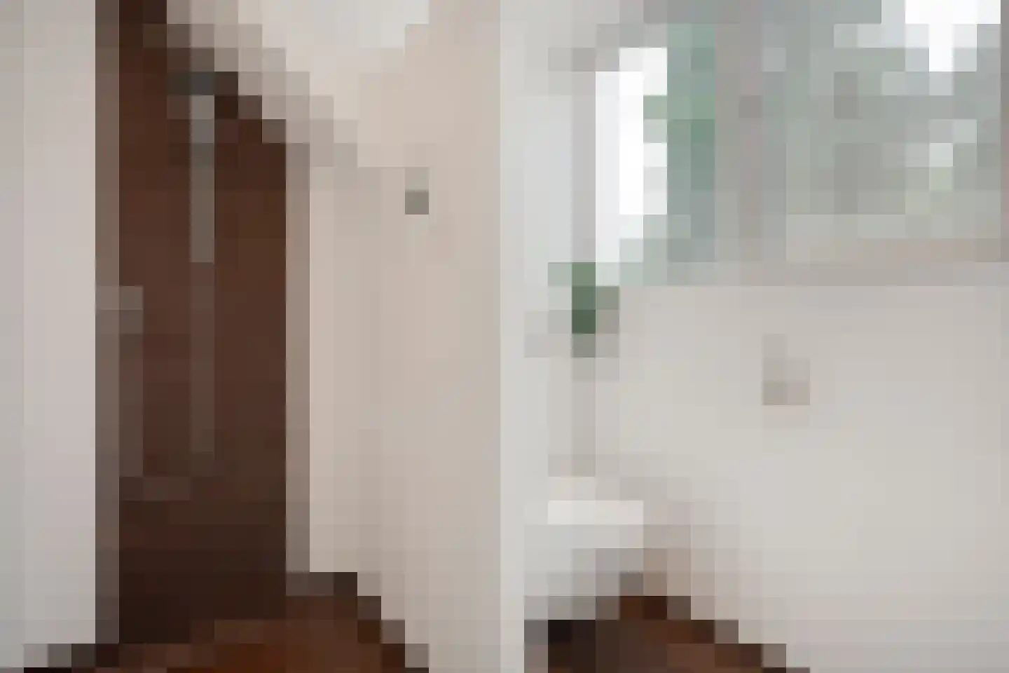het Boerrigter 31 Losser thumbnail 30