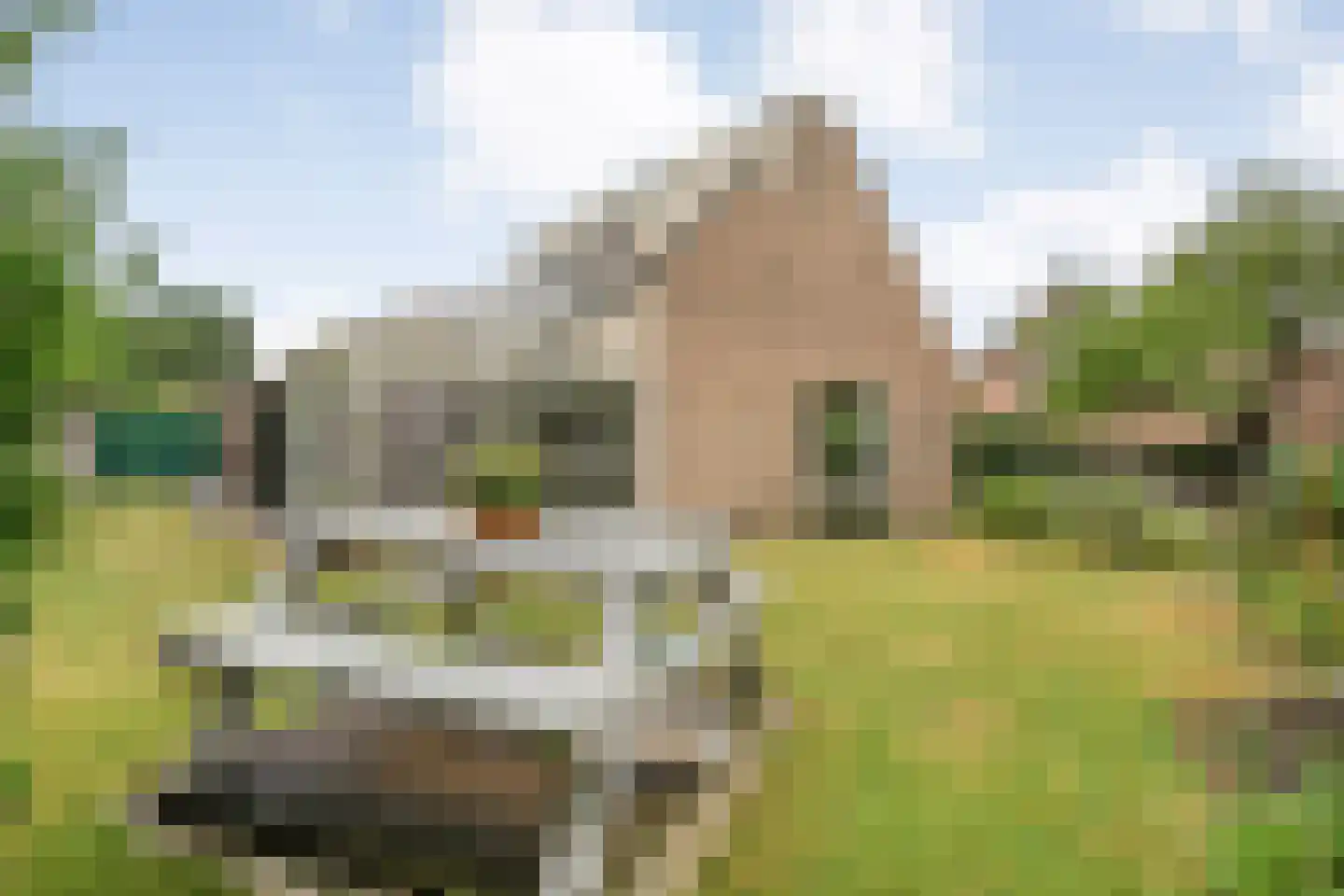 het Boerrigter 31 Losser thumbnail 33