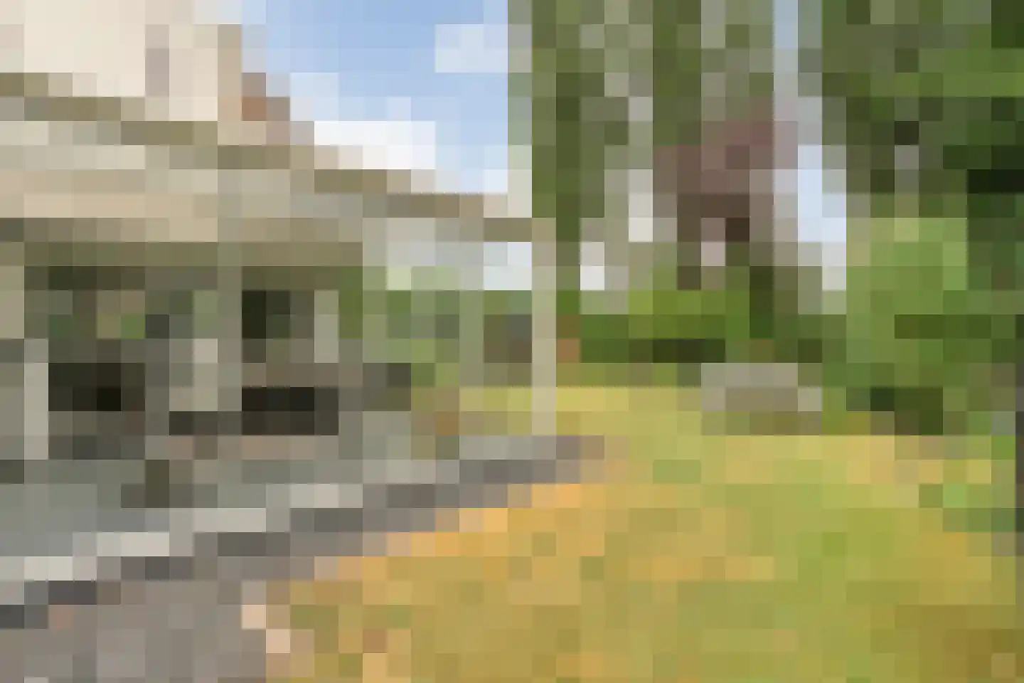 het Boerrigter 31 Losser thumbnail 34