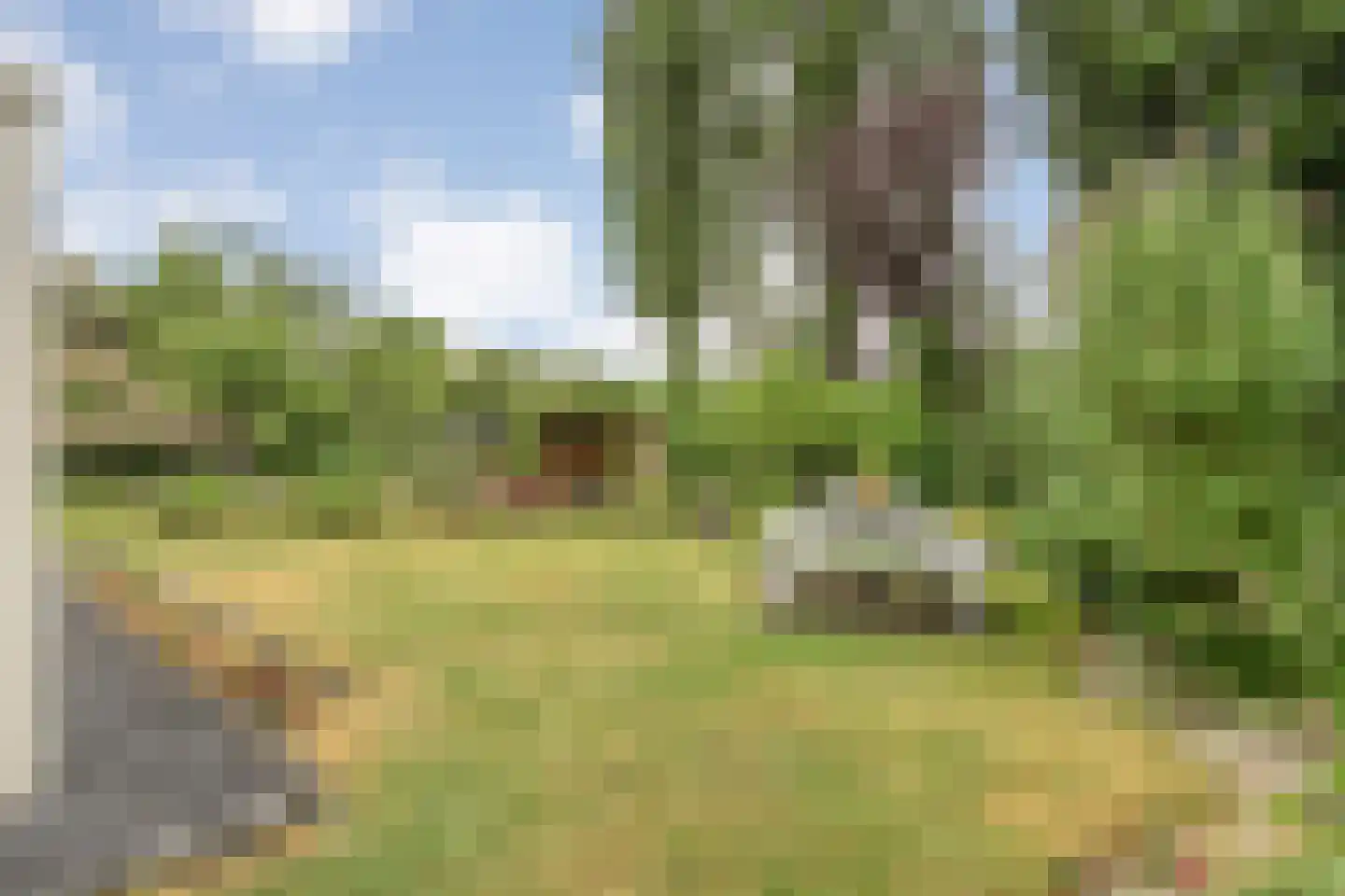 het Boerrigter 31 Losser thumbnail 35