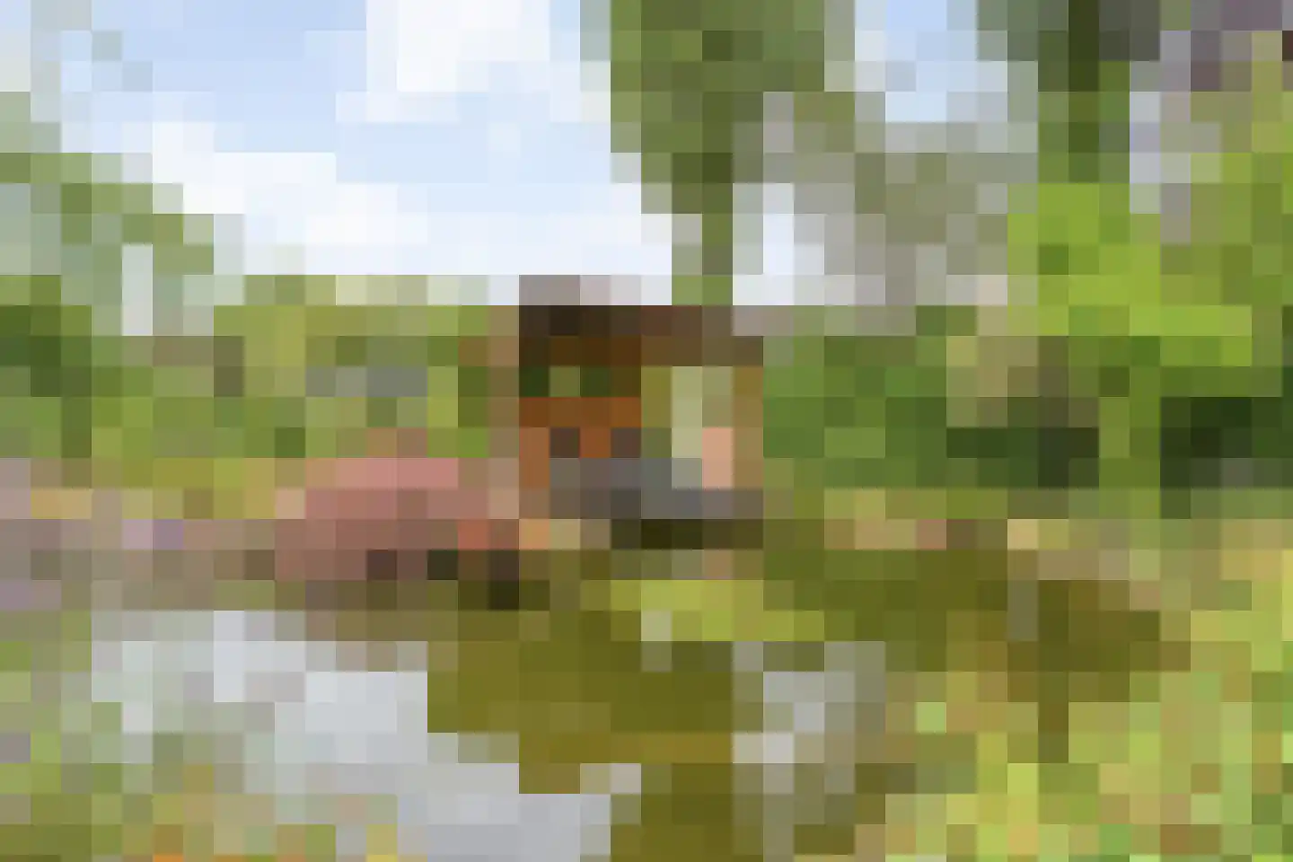 het Boerrigter 31 Losser thumbnail 36