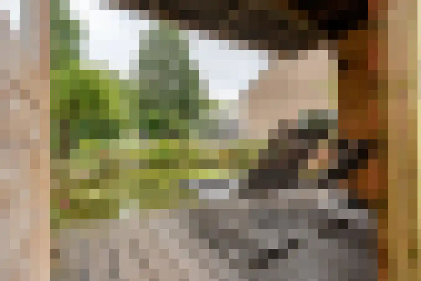 het Boerrigter 31 Losser thumbnail 37