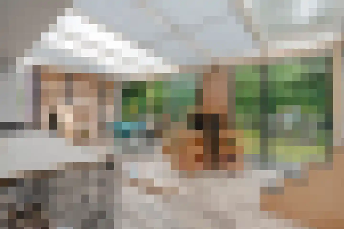 het Boerrigter 31 Losser thumbnail 41