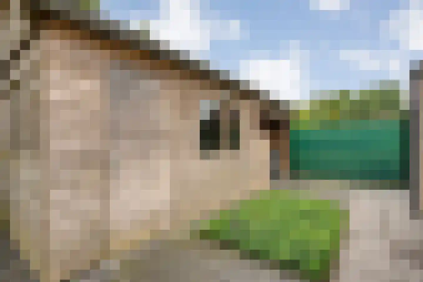 het Boerrigter 31 Losser thumbnail 42