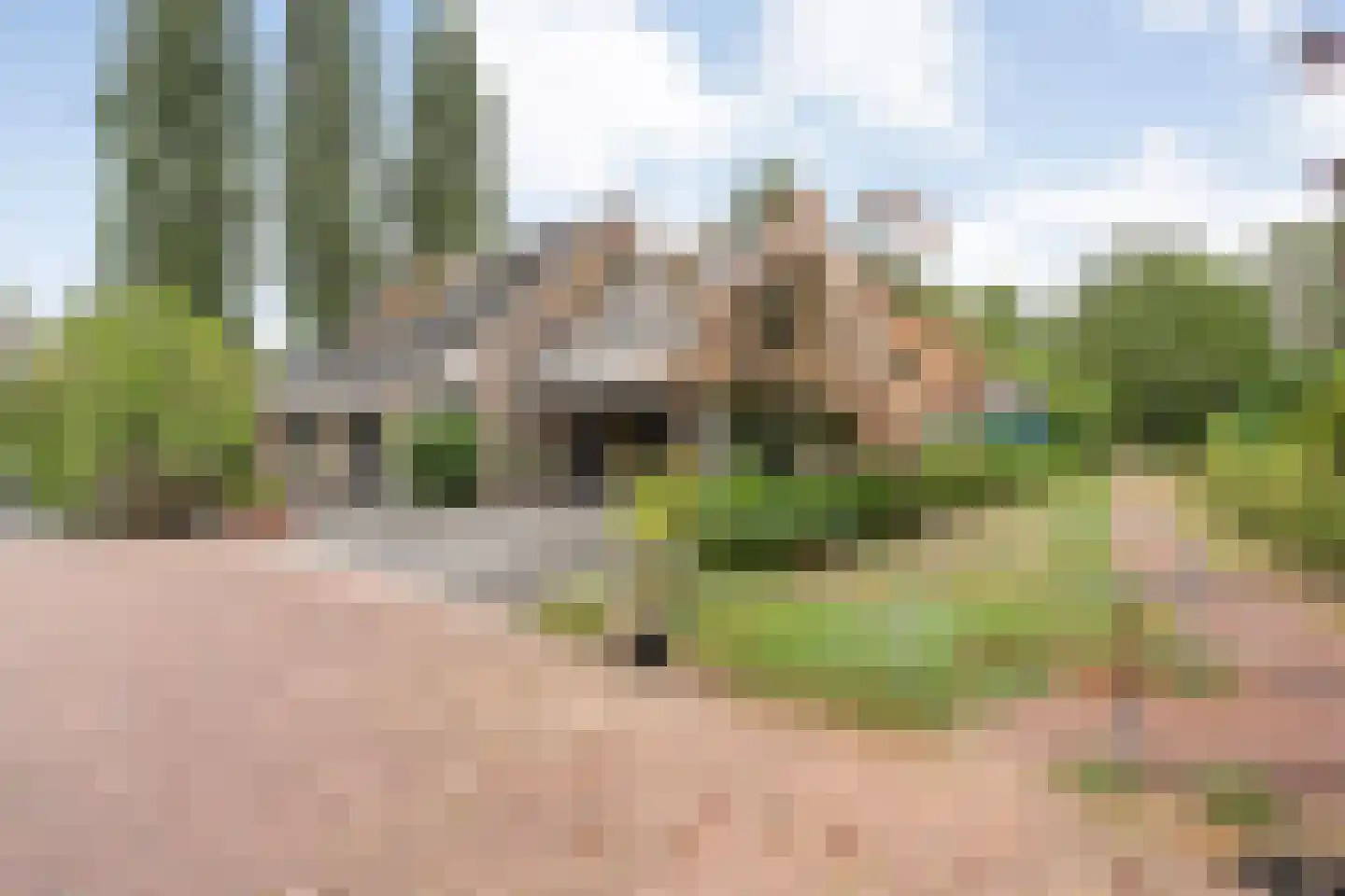 het Boerrigter 31 Losser thumbnail 43