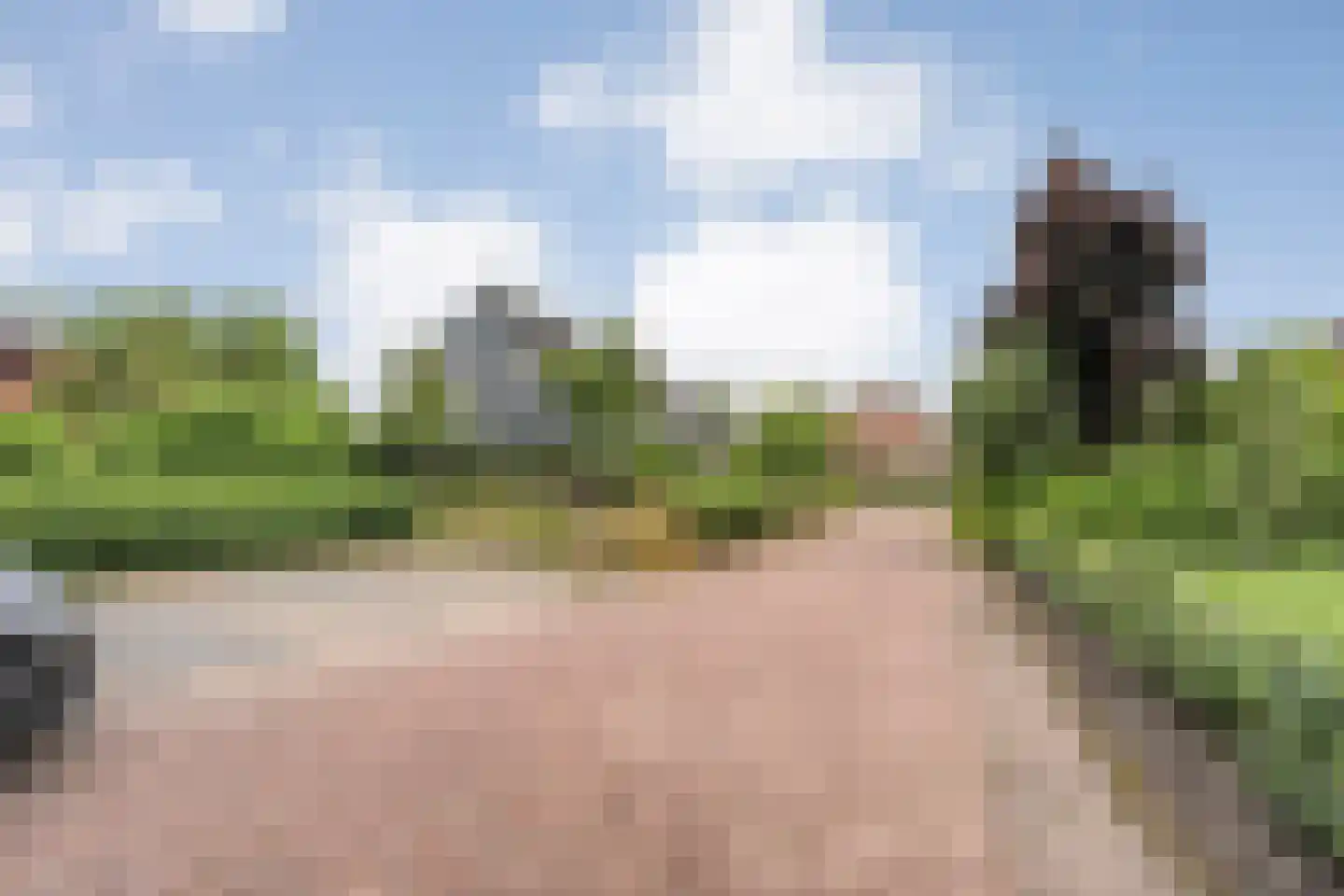 het Boerrigter 31 Losser thumbnail 46