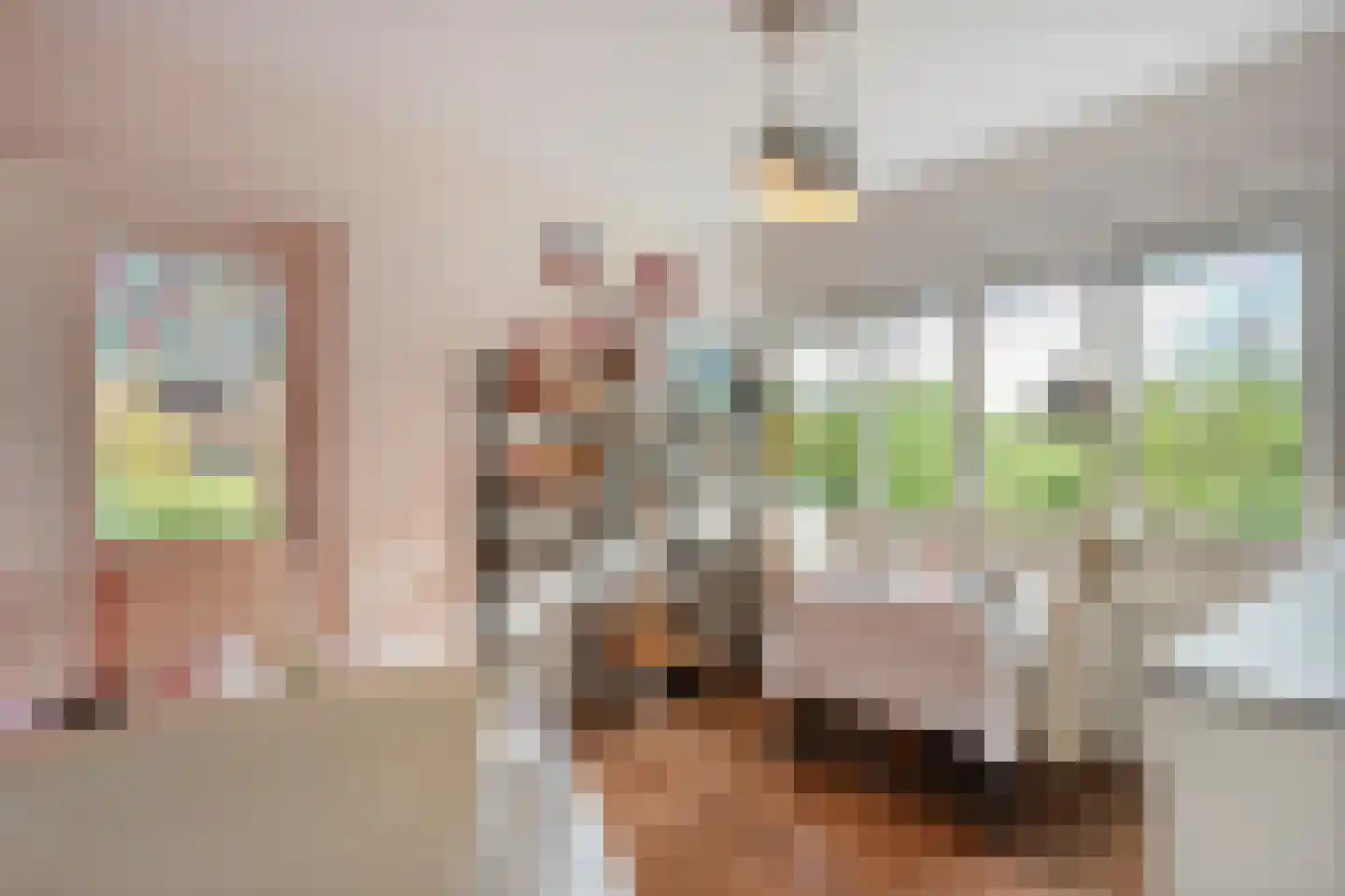 het Boerrigter 31 Losser thumbnail 6