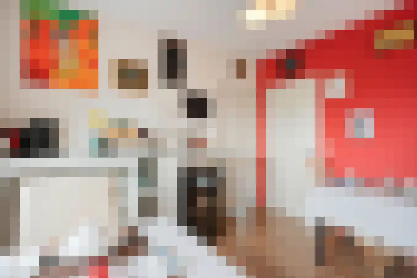 het Boerrigter 31 Losser thumbnail 7