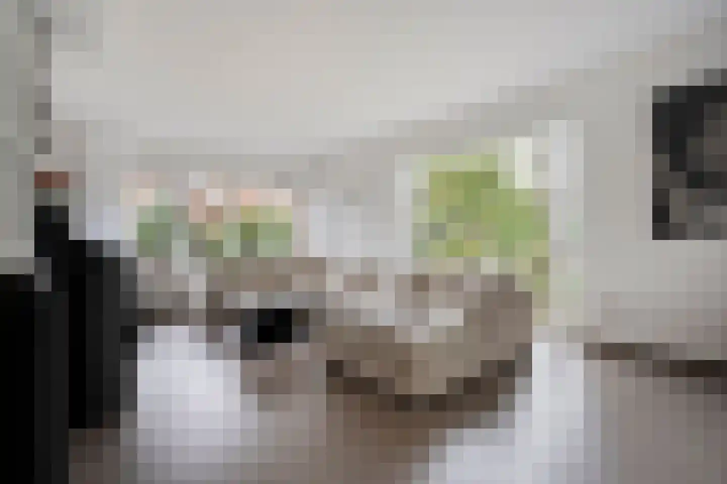 het Boerrigter 31 Losser thumbnail 9