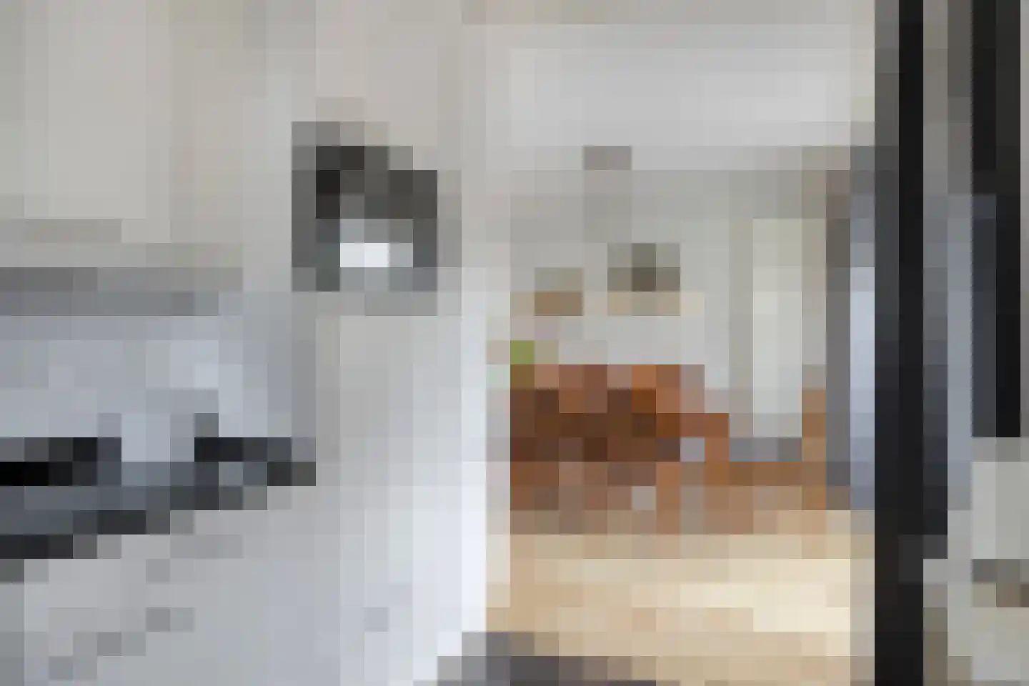 het Boerrigter 94 Losser thumbnail 18