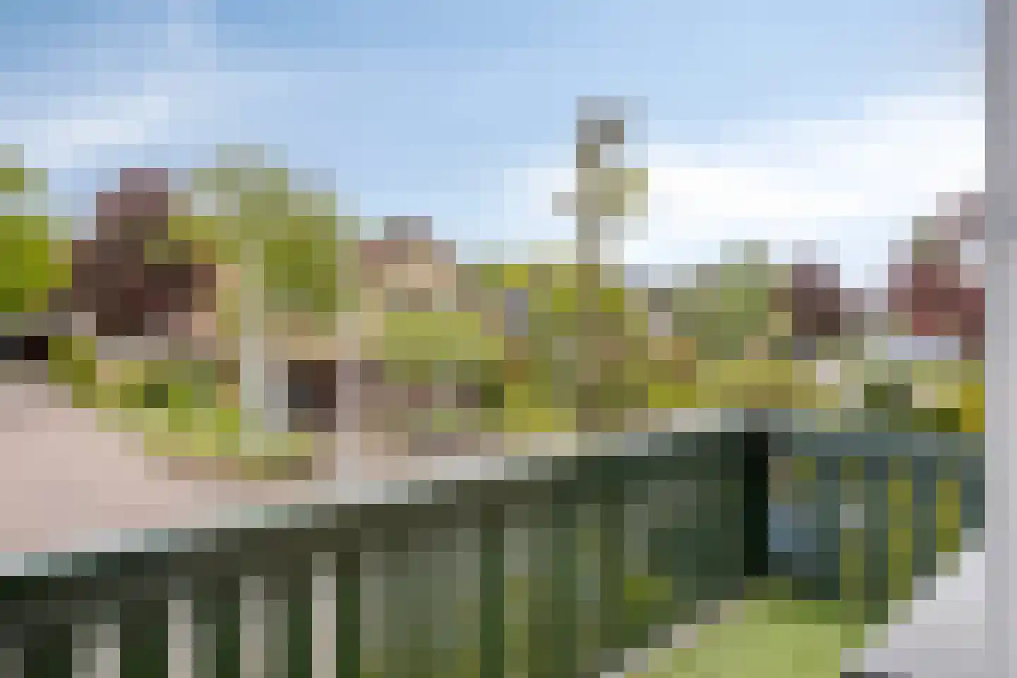het Boerrigter 94 Losser thumbnail 26