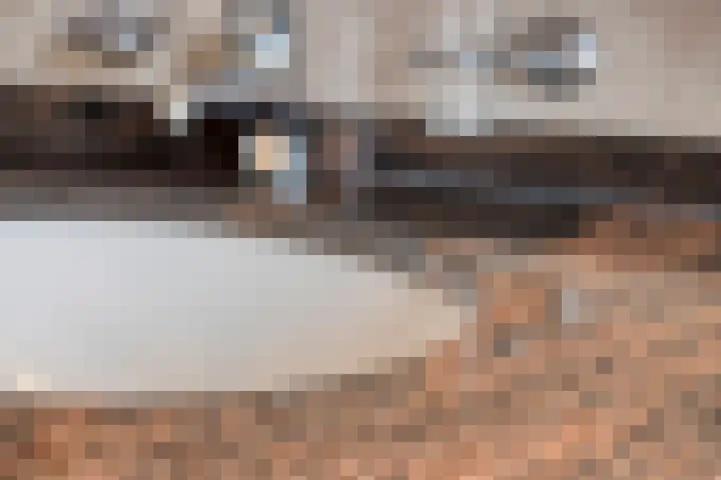 het Boerrigter 94 Losser thumbnail 30