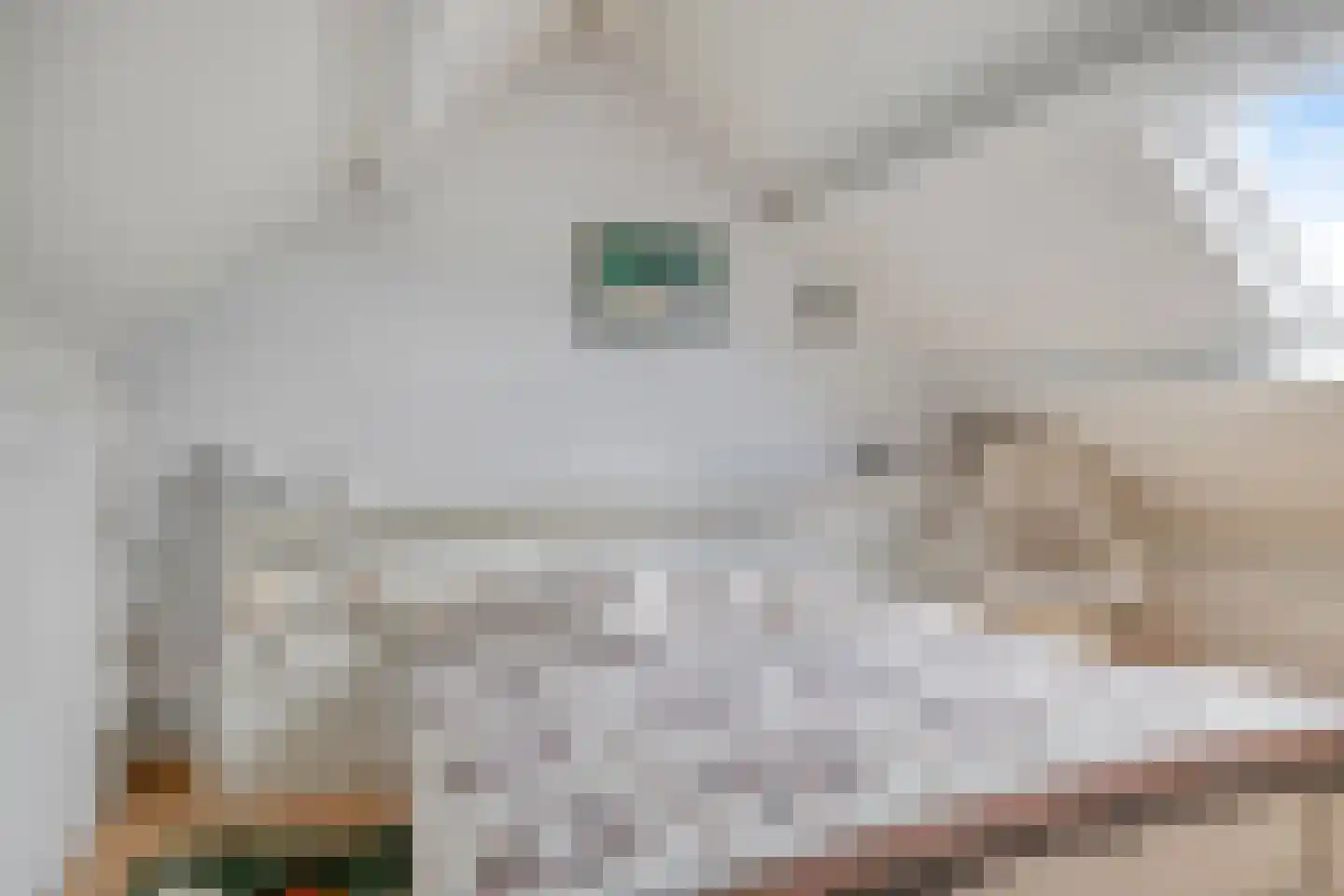 het Boerrigter 94 Losser thumbnail 37