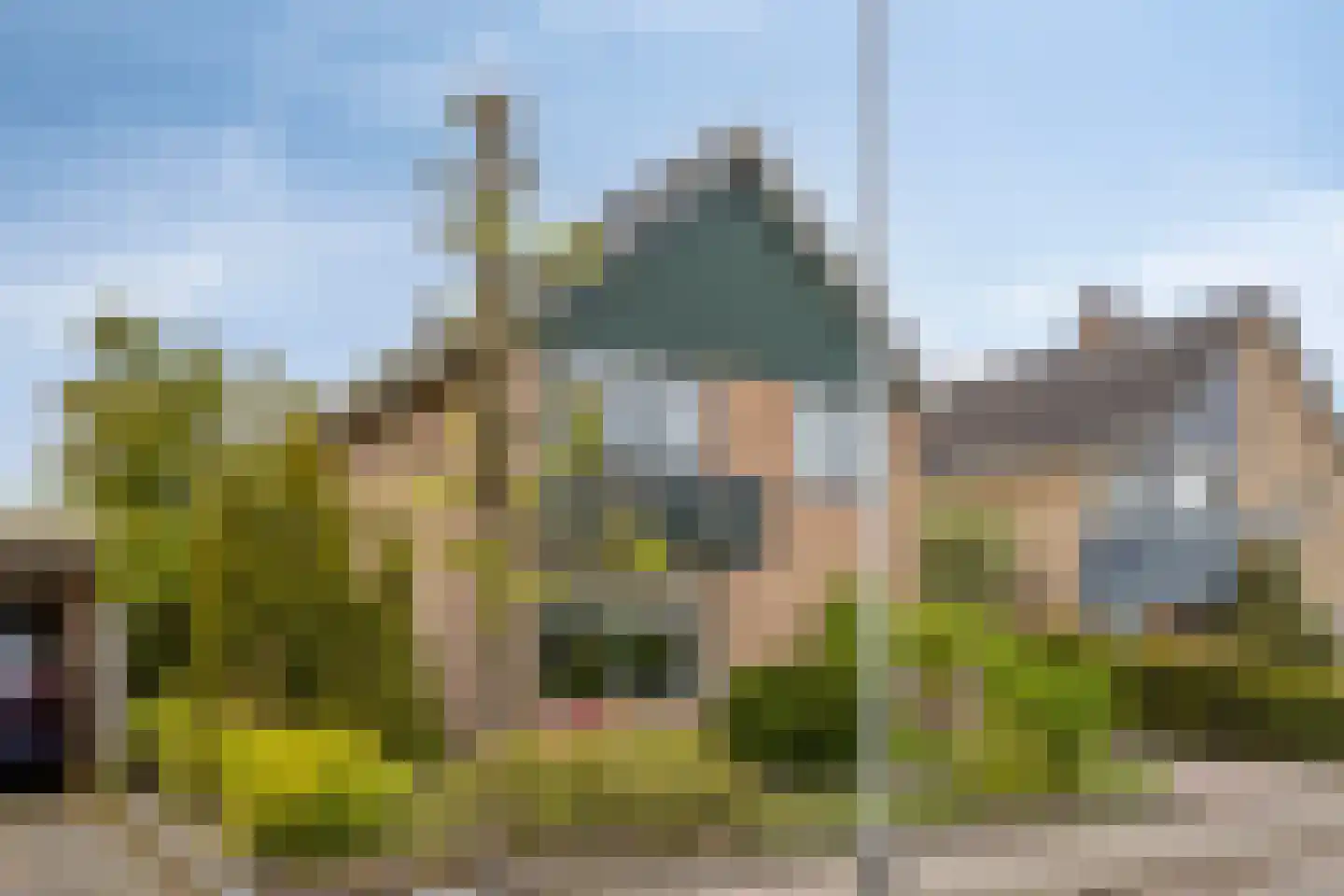 het Boerrigter 94 Losser thumbnail 4