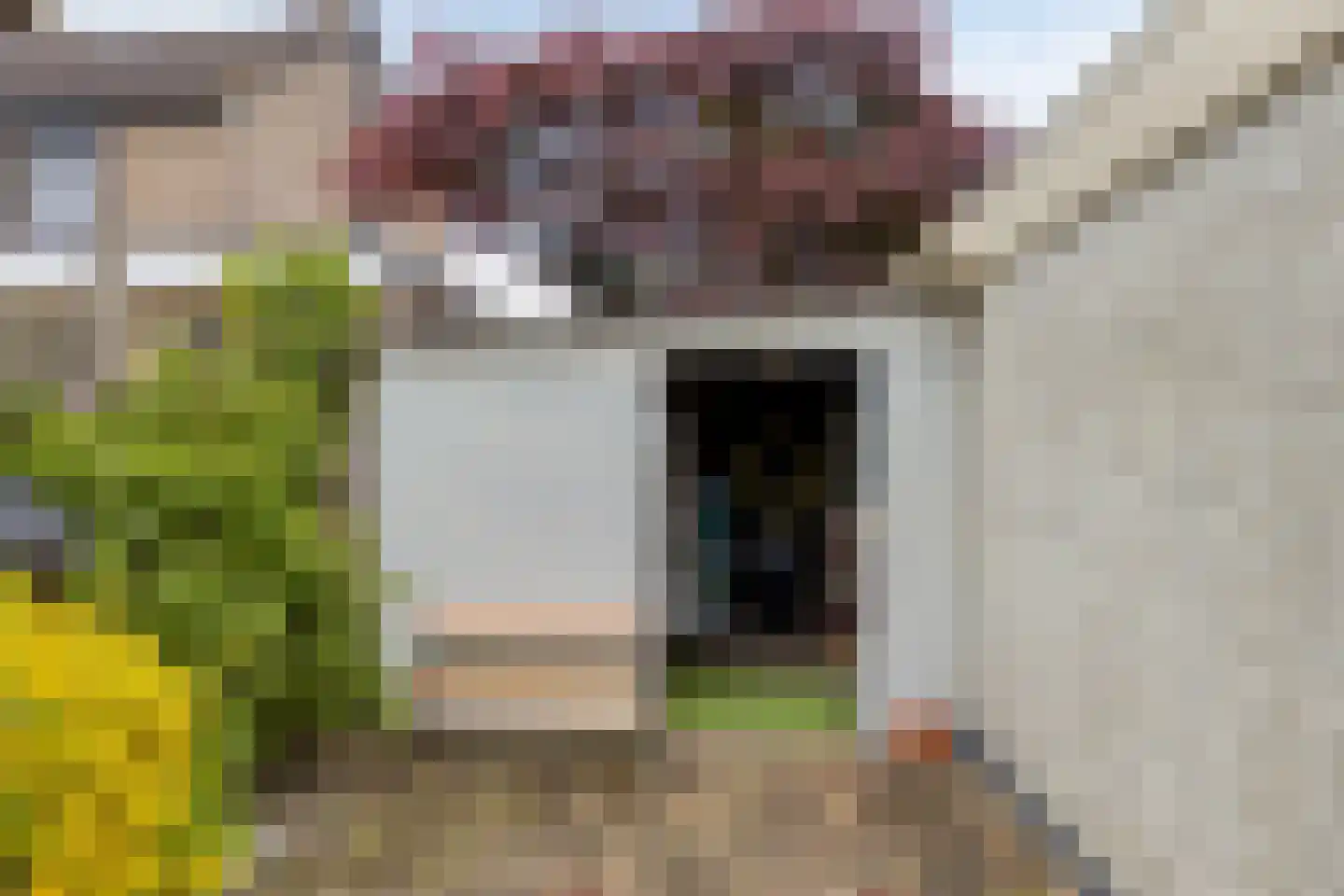 het Boerrigter 94 Losser thumbnail 40