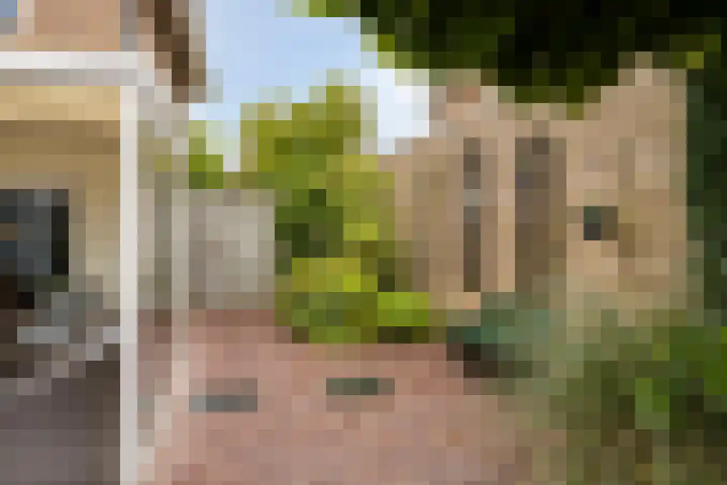 het Boerrigter 94 Losser thumbnail 41