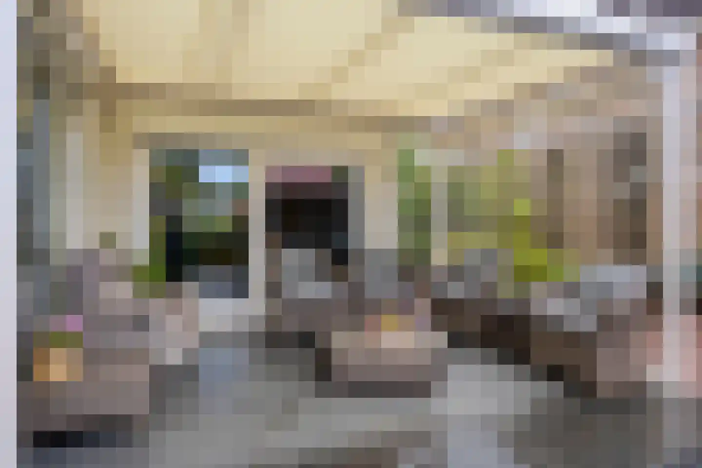 het Boerrigter 94 Losser thumbnail 42