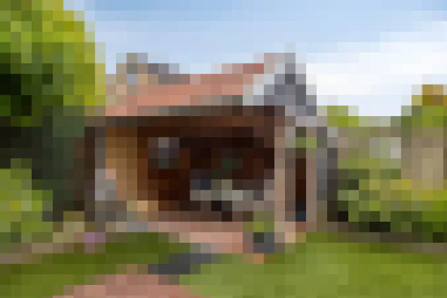 het Boerrigter 94 Losser thumbnail 43