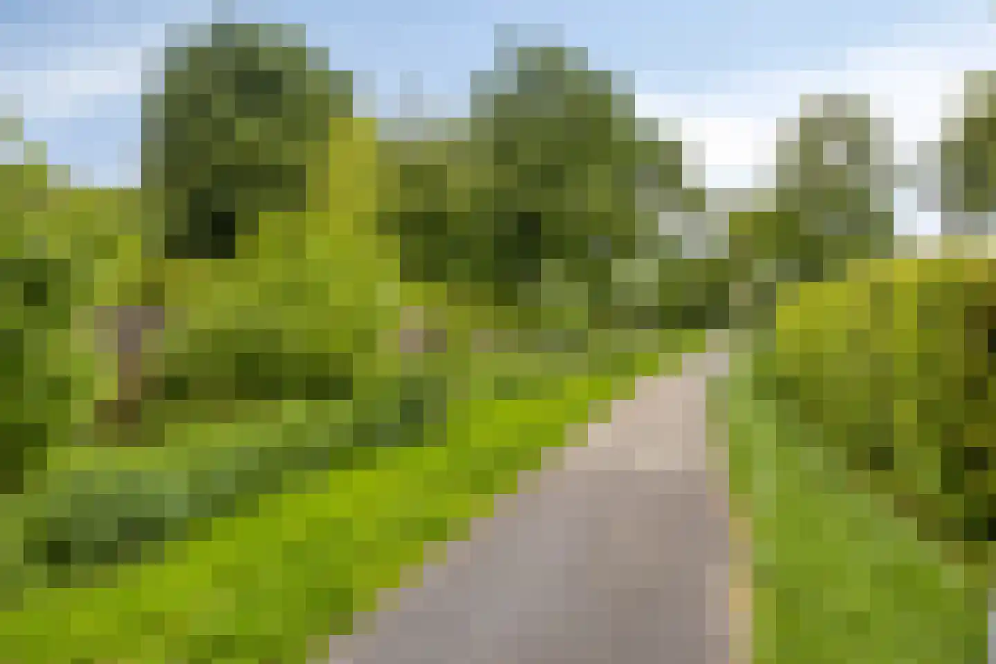 het Boerrigter 94 Losser thumbnail 46