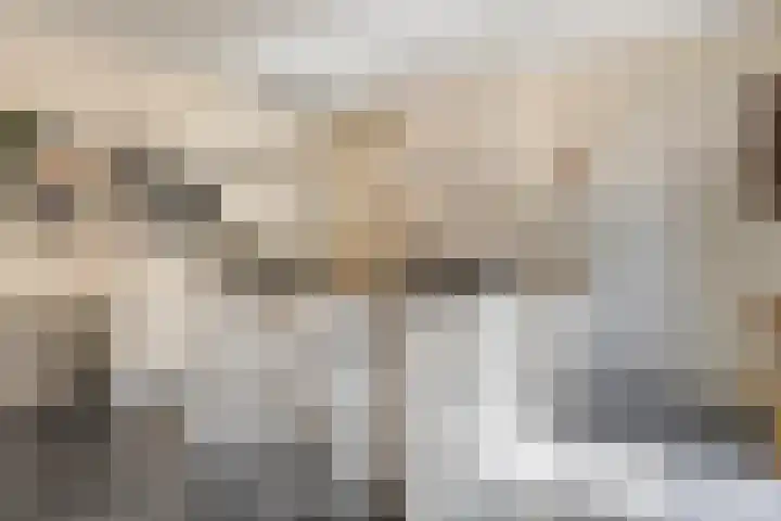 Het Bolwerk 10 Balkbrug thumbnail 13