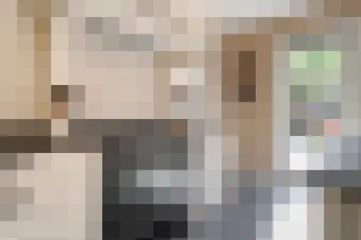 Het Bolwerk 10 Balkbrug thumbnail 14