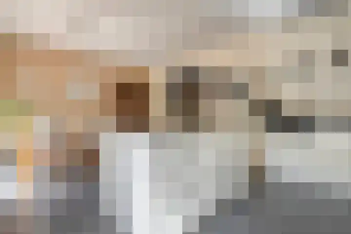 Het Bolwerk 10 Balkbrug thumbnail 15
