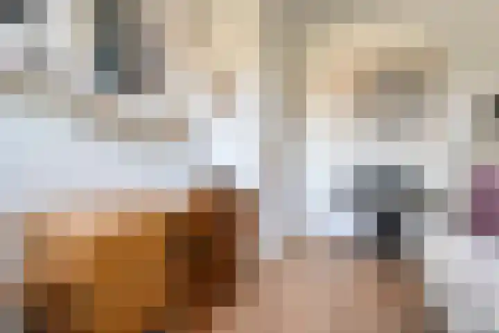 Het Bolwerk 10 Balkbrug thumbnail 24