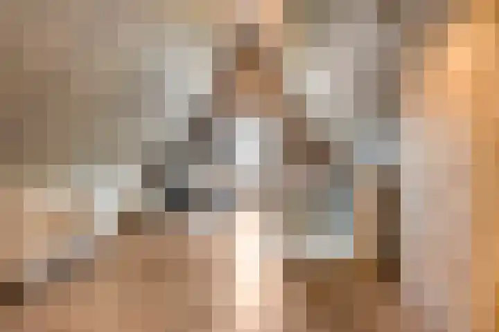 Het Bolwerk 10 Balkbrug thumbnail 30