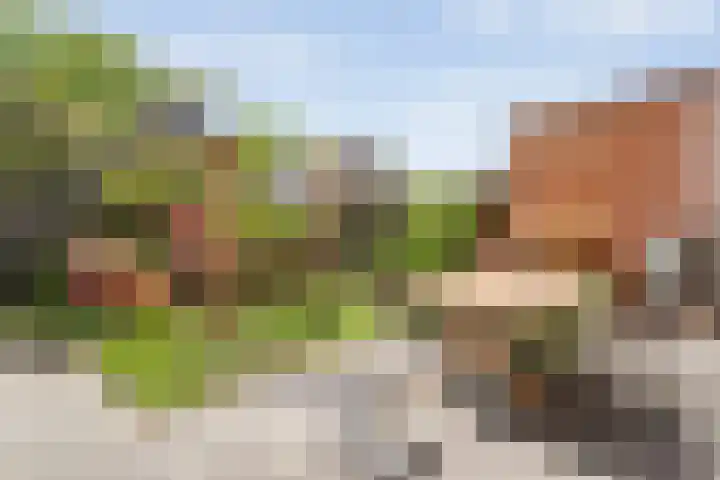 Het Bolwerk 10 Balkbrug thumbnail 32