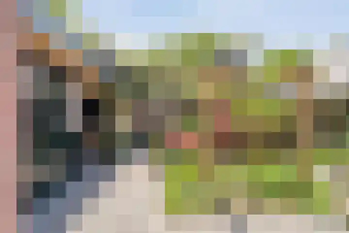 Het Bolwerk 10 Balkbrug thumbnail 33