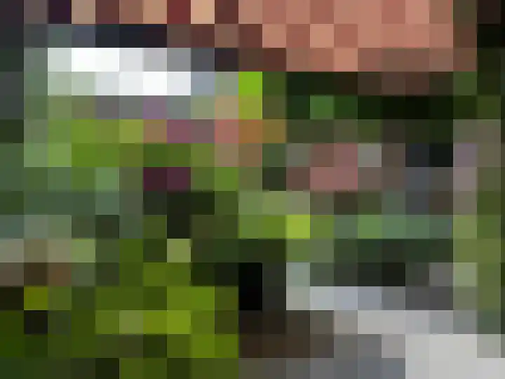 Het Bolwerk 10 Balkbrug thumbnail 35