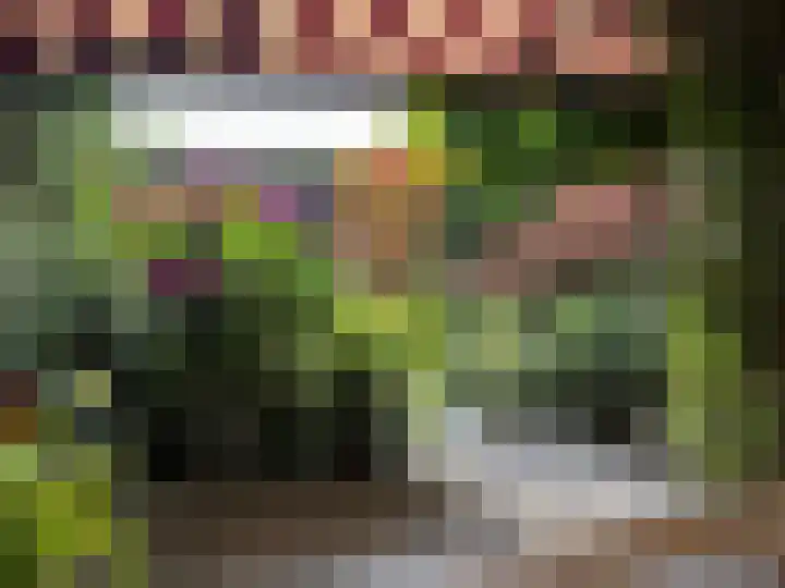 Het Bolwerk 10 Balkbrug thumbnail 36