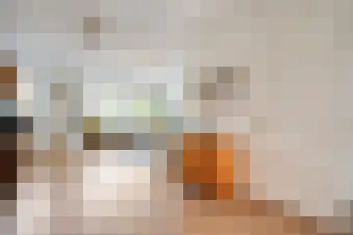 Het Bolwerk 10 Balkbrug thumbnail 6