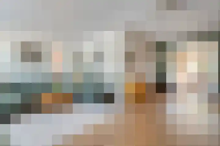 Het Bolwerk 10 Balkbrug thumbnail 8