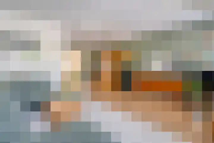 Het Bolwerk 10 Balkbrug thumbnail 9