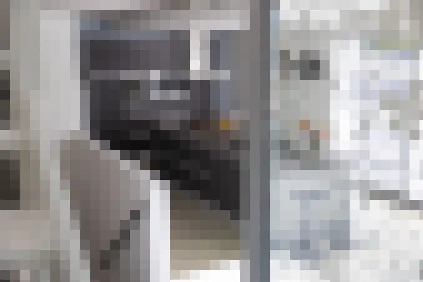 Het Bolwerk 100 Breda thumbnail 17