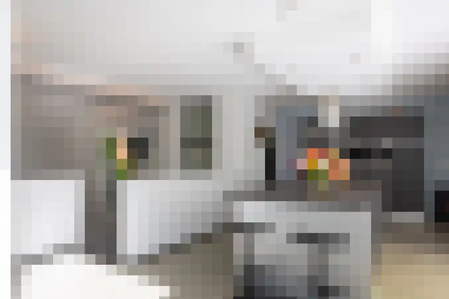Het Bolwerk 100 Breda thumbnail 19